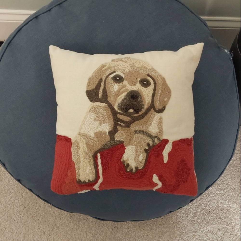 Pup pillow, needlework front, plain back, ~11.5" square. Dog-friendly home